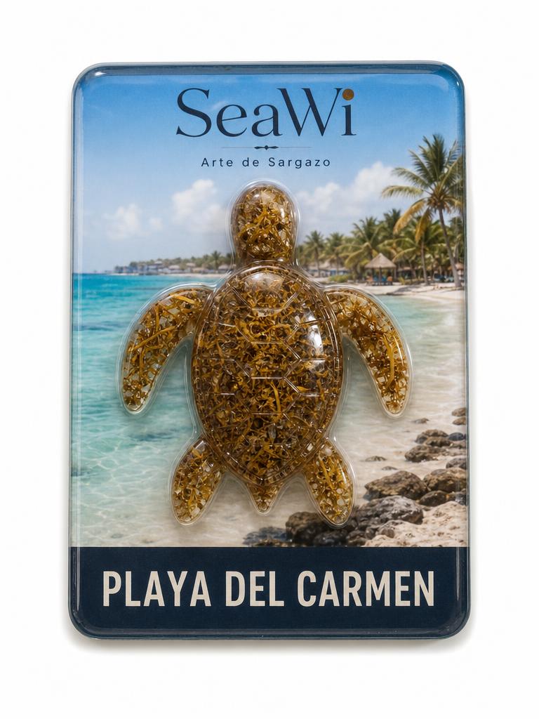 Imán Playa del Carmen