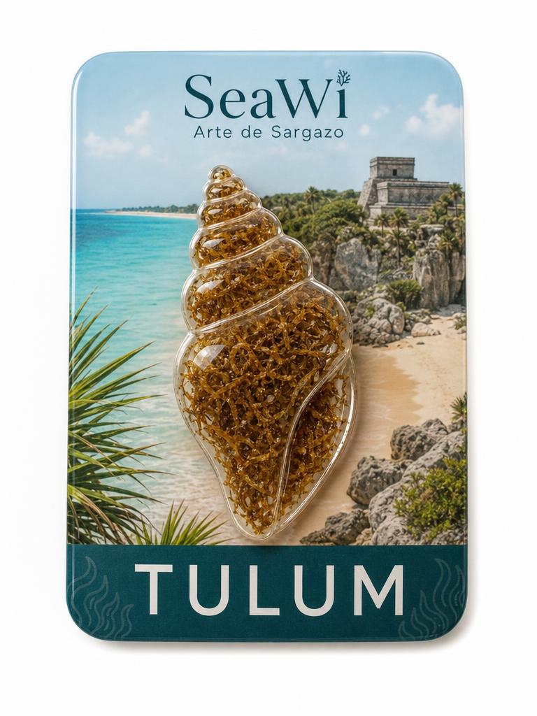 Imán Tulum